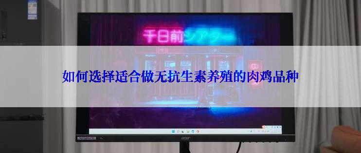 如何选择适合做无抗生素养殖的肉鸡品种