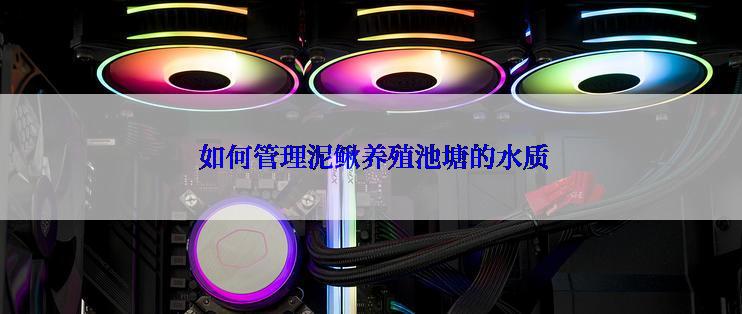  如何管理泥鳅养殖池塘的水质