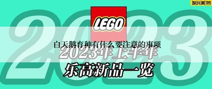 白天鹅育种有什么要注意的事项