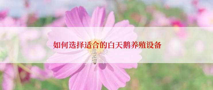 如何选择适合的白天鹅养殖设备