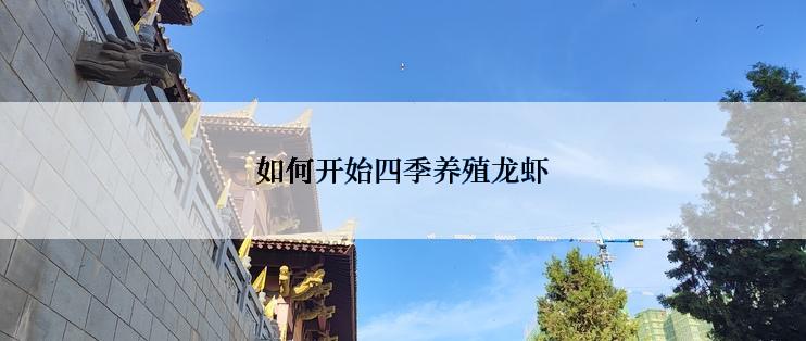 如何开始四季养殖龙虾