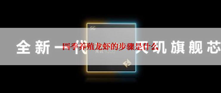 四季养殖龙虾的步骤是什么