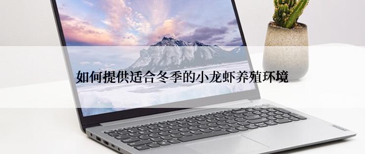 如何提供适合冬季的小龙虾养殖环境
