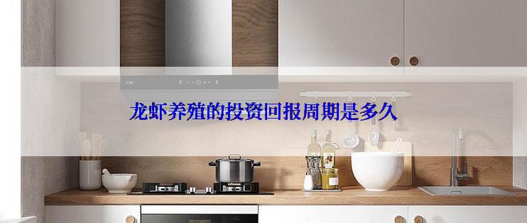 龙虾养殖的投资回报周期是多久