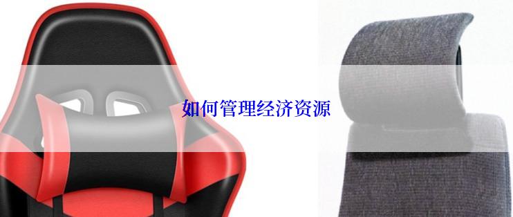 如何管理经济资源