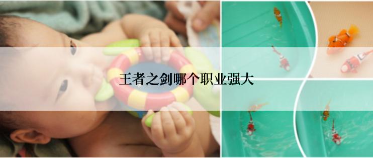 王者之剑哪个职业强大