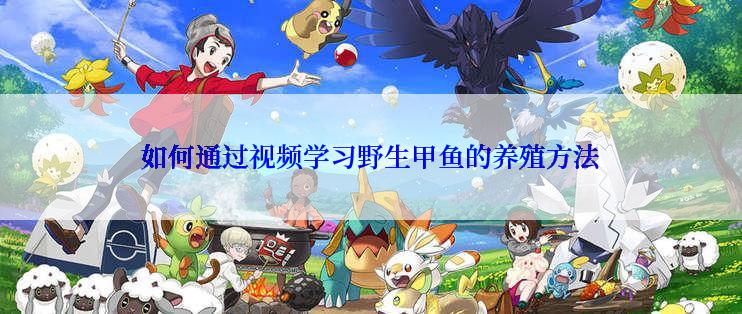 如何通过视频学习野生甲鱼的养殖方法