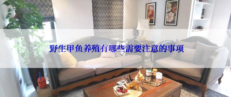  野生甲鱼养殖有哪些需要注意的事项