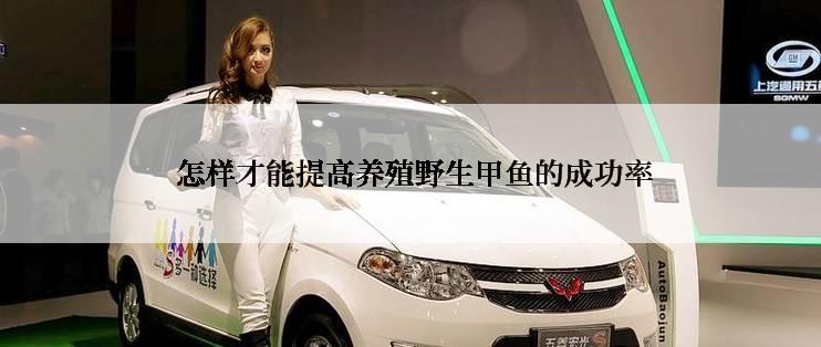  怎样才能提高养殖野生甲鱼的成功率