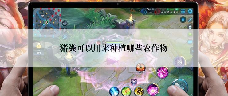 猪粪可以用来种植哪些农作物