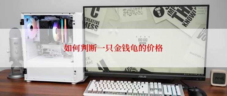 如何判断一只金钱龟的价格