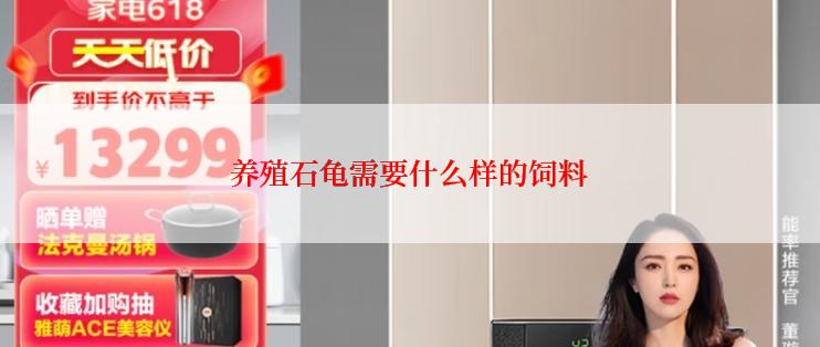 养殖石龟需要什么样的饲料