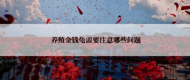  养殖金钱龟需要注意哪些问题
