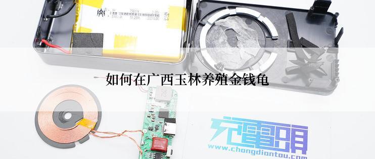 如何在广西玉林养殖金钱龟