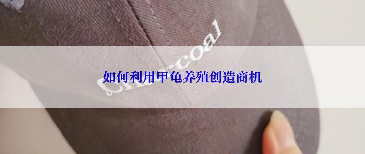 如何利用甲龟养殖创造商机