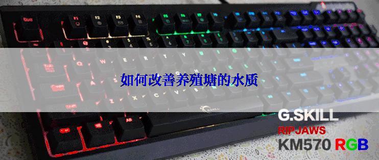 如何改善养殖塘的水质