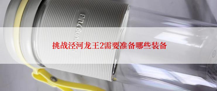  挑战泾河龙王2需要准备哪些装备