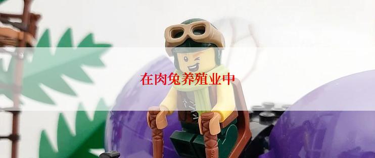在肉兔养殖业中