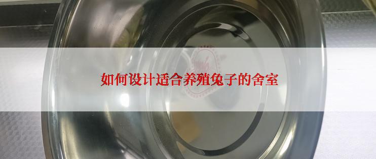  如何设计适合养殖兔子的舍室