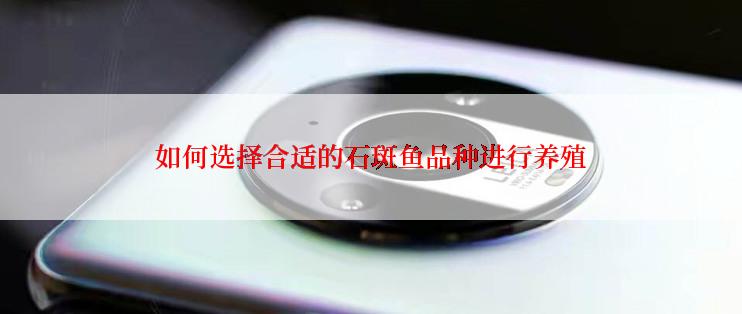 如何选择合适的石斑鱼品种进行养殖