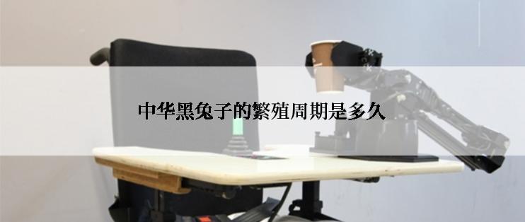 中华黑兔子的繁殖周期是多久