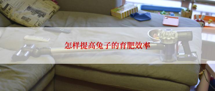 怎样提高兔子的育肥效率