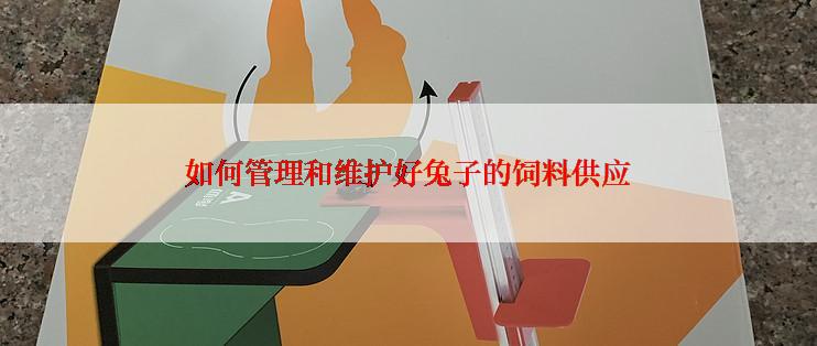 如何管理和维护好兔子的饲料供应