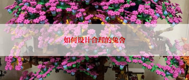 如何设计合理的兔舍