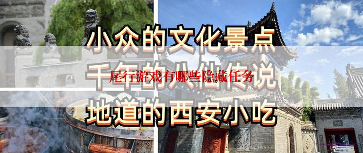 尾行游戏有哪些隐藏任务
