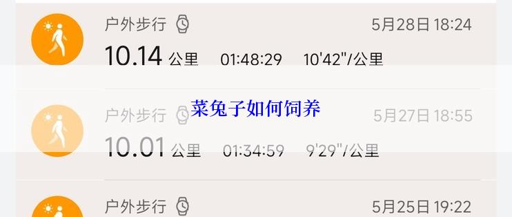 菜兔子如何饲养