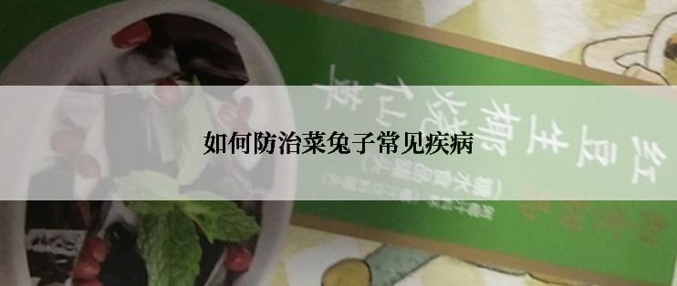 如何防治菜兔子常见疾病