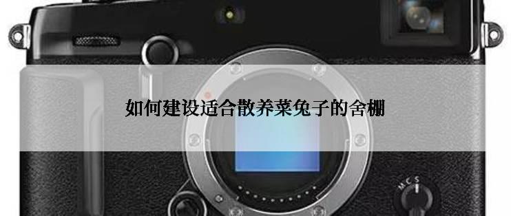 如何建设适合散养菜兔子的舍棚