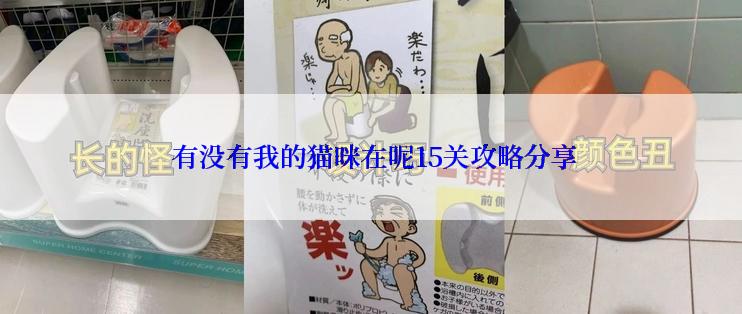  有没有我的猫咪在呢15关攻略分享