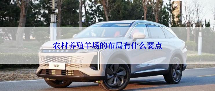 农村养殖羊场的布局有什么要点