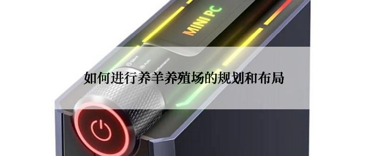 如何进行养羊养殖场的规划和布局