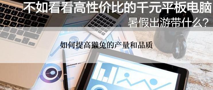 如何提高獭兔的产量和品质