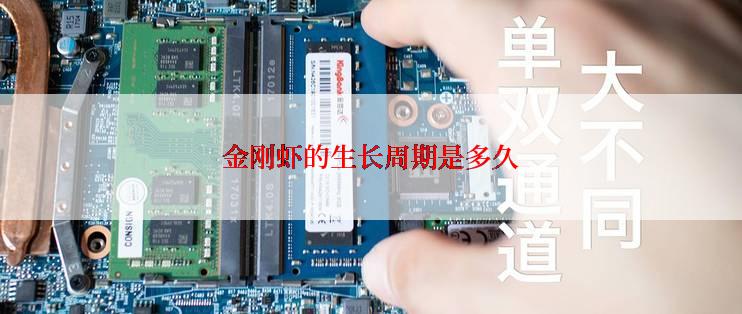 金刚虾的生长周期是多久