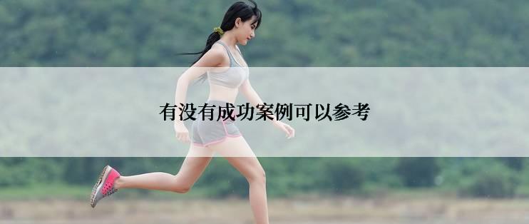 有没有成功案例可以参考