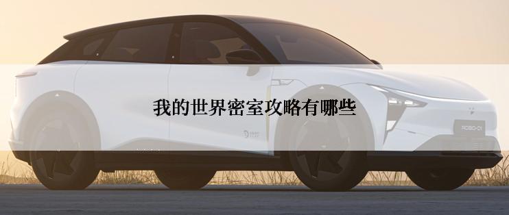 我的世界密室攻略有哪些