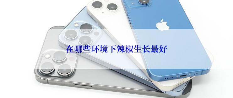 在哪些环境下辣椒生长最好