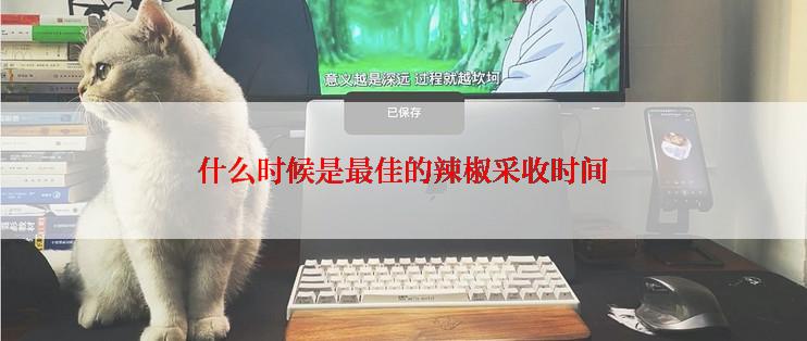 什么时候是最佳的辣椒采收时间