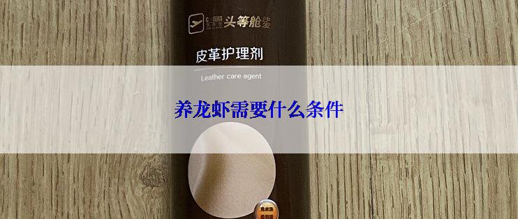 养龙虾需要什么条件