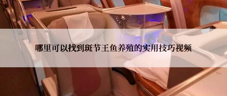 哪里可以找到斑节王鱼养殖的实用技巧视频