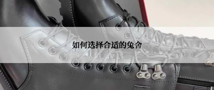 如何选择合适的兔舍
