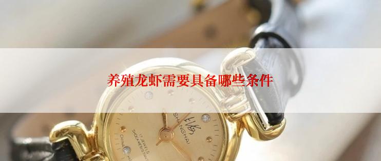 养殖龙虾需要具备哪些条件