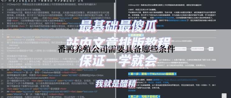  番鸭养殖公司需要具备哪些条件