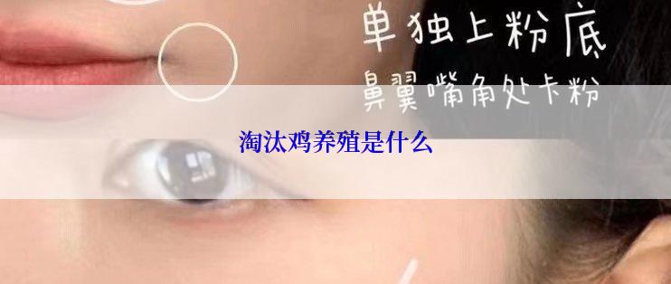 淘汰鸡养殖是什么
