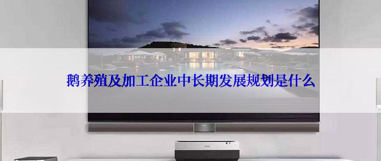 鹅养殖及加工企业中长期发展规划是什么