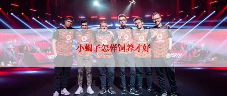 小蝎子怎样饲养才好