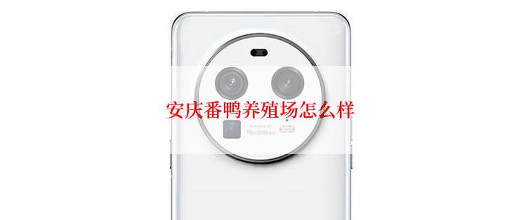 安庆番鸭养殖场怎么样